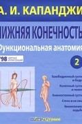 Нижняя конечность. Функциональная анатомия. Том 2