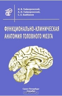  - Функционально-клиническая анатомия головного мозга
