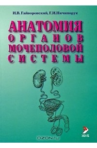  - Анатомия органов мочеполовой системы