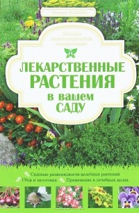 Т. А. Ильина - Лекарственные растения в вашем саду