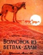 Максим Зверев - Волчонок из Бетпак-Далы