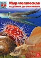 Дитмар Мертенс - Мир моллюсков - от улиток до осьминогов