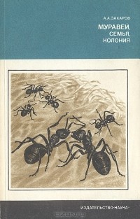 Анатолий Захаров - Муравей, семья, колония