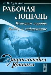П. Н. Кулешов - Рабочая лошадь. История породы. Выбор и содержание