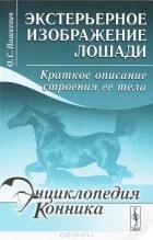 О. С. Пашкевич - Экстерьерное изображение лошади. Краткое описание строения ее тела
