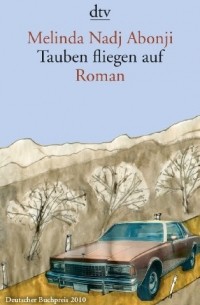 Tauben fliegen auf