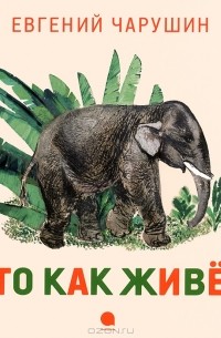 Кто как живет