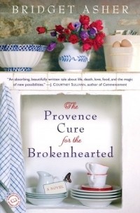 Bridget Asher - The Provence Cure for the Brokenhearted: A Novel