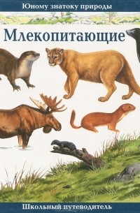 Джон Бэртон - Млекопитающие. Школьный путеводитель