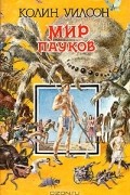 Мир пауков