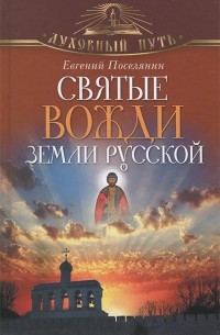 Евгений Поселянин - Святые вожди земли Русской