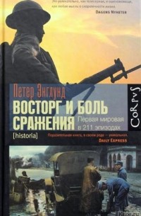 Петер Энглунд - Восторг и боль сражения. Первая мировая в 211 эпизодах