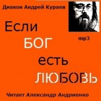 Диакон Андрей Кураев - Если Бог есть любовь