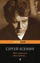 Сергей Есенин - Мне осталась одна забава...