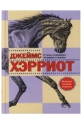 Джеймс Хэрриот - О всех созданиях — больших и малых