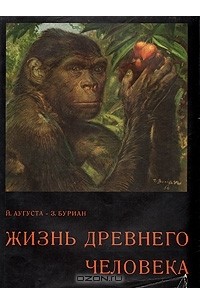 Жизнь древнего человека