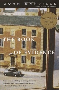 John Banville - The Book of Evidence