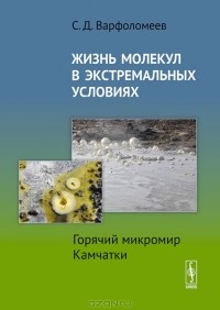 Сергей Варфоломеев - Жизнь молекул в экстремальных условиях. Горячий микромир Камчатки