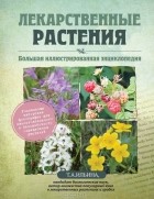 Т. А. Ильина - Лекарственные растения. Большая иллюстрированная энциклопедия