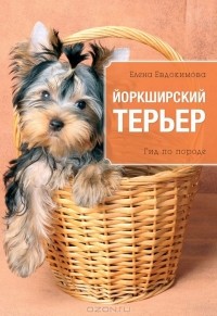 Елена Евдокимова - Йоркширский терьер