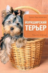 Елена Евдокимова - Йоркширский терьер