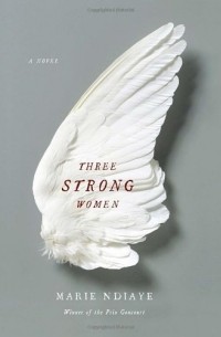 Marie Ndiaye - Three Strong Women