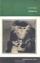Э. П. Фридман - Приматы