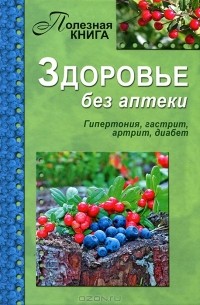 Е. Полякова - Здоровье без аптеки. Гипертония, гастрит, артрит, диабет