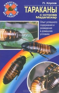 П. М. Хлусов - Тараканы с острова Мадагаскар. Опыт успешного содержания и разведения в домашних условиях