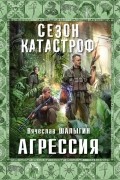 Вячеслав Шалыгин - Агрессия