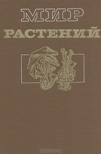 Мир растений. Грибы