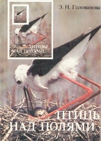 Э. Н. Голованова - Птицы над полями