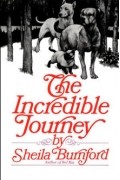 The Incredible Journey