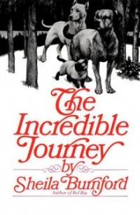 Sheila Burnford - The Incredible Journey