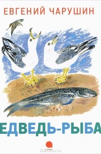 Медведь-рыбак