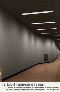 Super-Cannes: A Novel