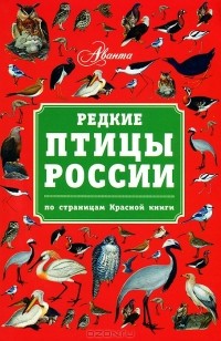 Владимир Бабенко - Редкие птицы России. По страницам Красной книги