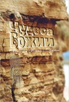 Святитель Николай Сербский (Велимирович) - Чудеса Божии