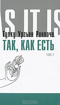 Тулку Ургьен Ринпоче - Так, как есть. Том 2