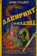 Юрий Пульвер - Лабиринт колдуна