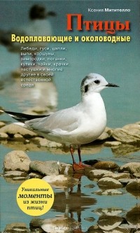 Ксения Митителло - Птицы. Водоплавающие и околоводные