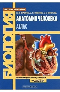 Анатомия человека. Атлас