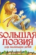  - Большая поэзия для маленьких детей (аудиокнига MP3)
