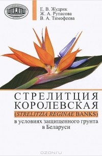  - Стрелитция королевская (Strelitzia reginae Banks) в условиях защищенного грунта в Беларуси