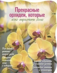  - Прекрасные орхидеи, которые легко вырастить дома