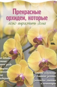 Прекрасные орхидеи, которые легко вырастить дома