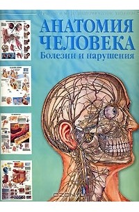 Анатомия человека. Болезни и нарушения