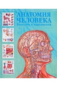 Анатомия человека. Болезни и нарушения