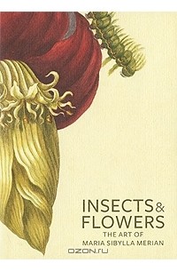  - Insects and Flowers: The Art of Maria Sibylla Merian