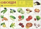  - Овощи. Плакат